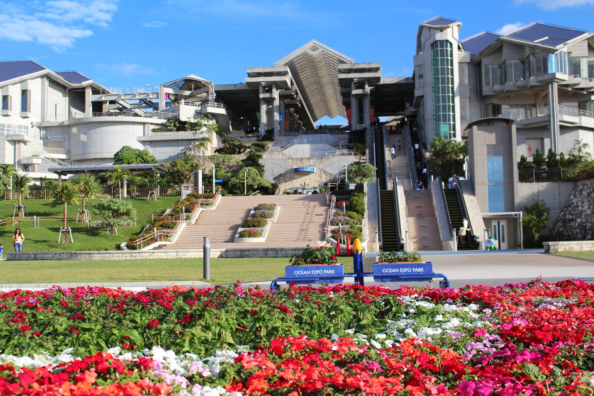 沖縄　美ら水族館